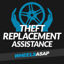  Theft Replacement Assistance 