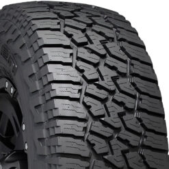 Falken Wildpeak A/T3W 